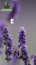 Lavender Calm Herbal Tea