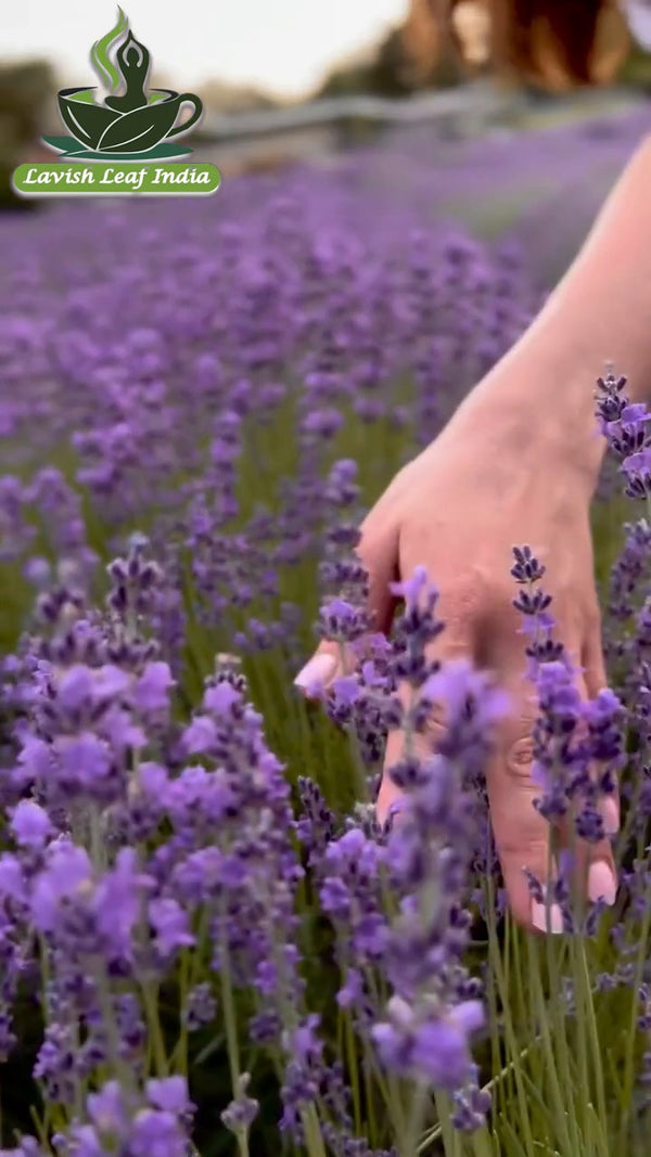 Lavender Calm Herbal Tea